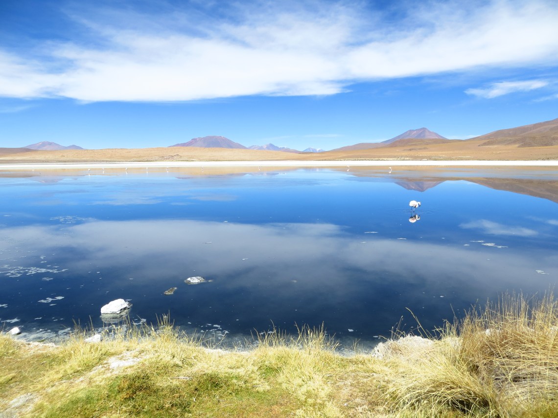 Lake in Eduardo Avaroa National Park, Atacama Desert in Uyuni, Bolivia
