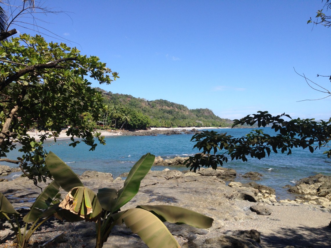 2015-12-26 12.15.42.jpg