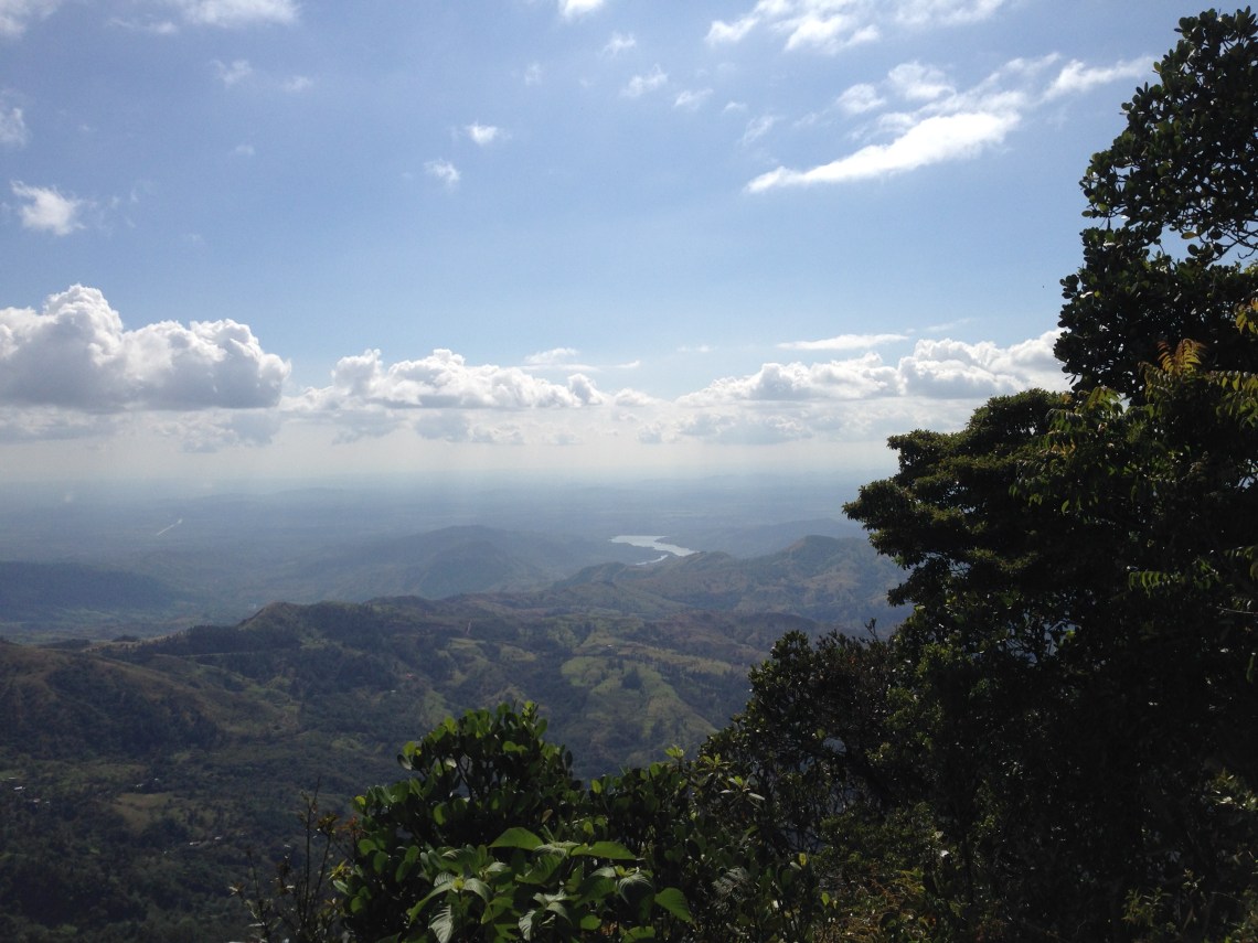 2016-01-15 15.05.09.jpg