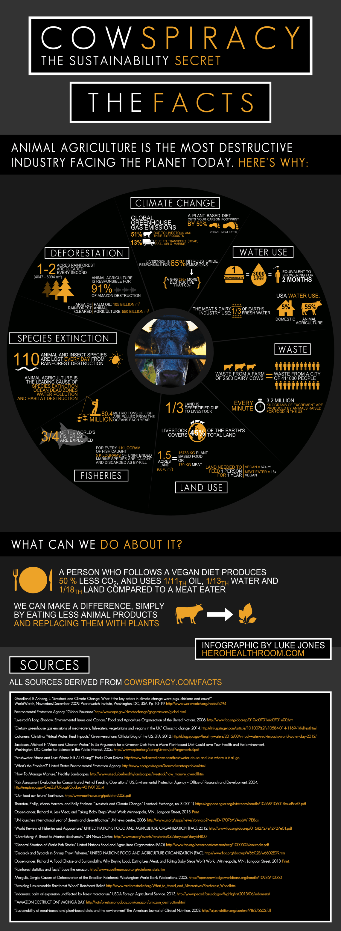 Cowspiracy-Infographic-Metric.png