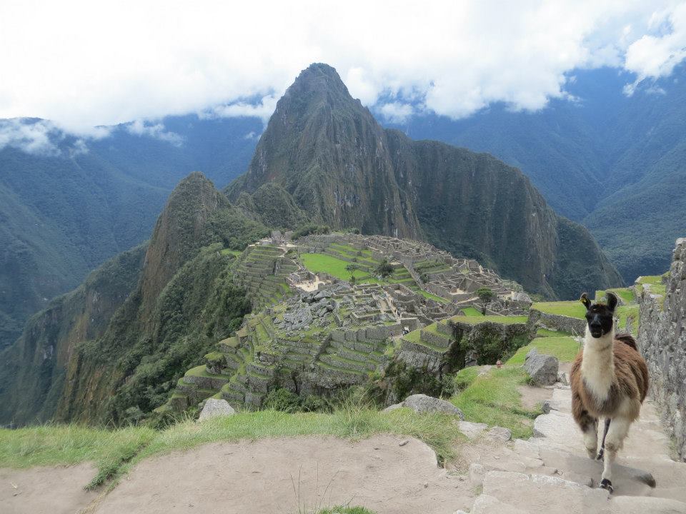 1467393_10202053844621114_1849381673_n