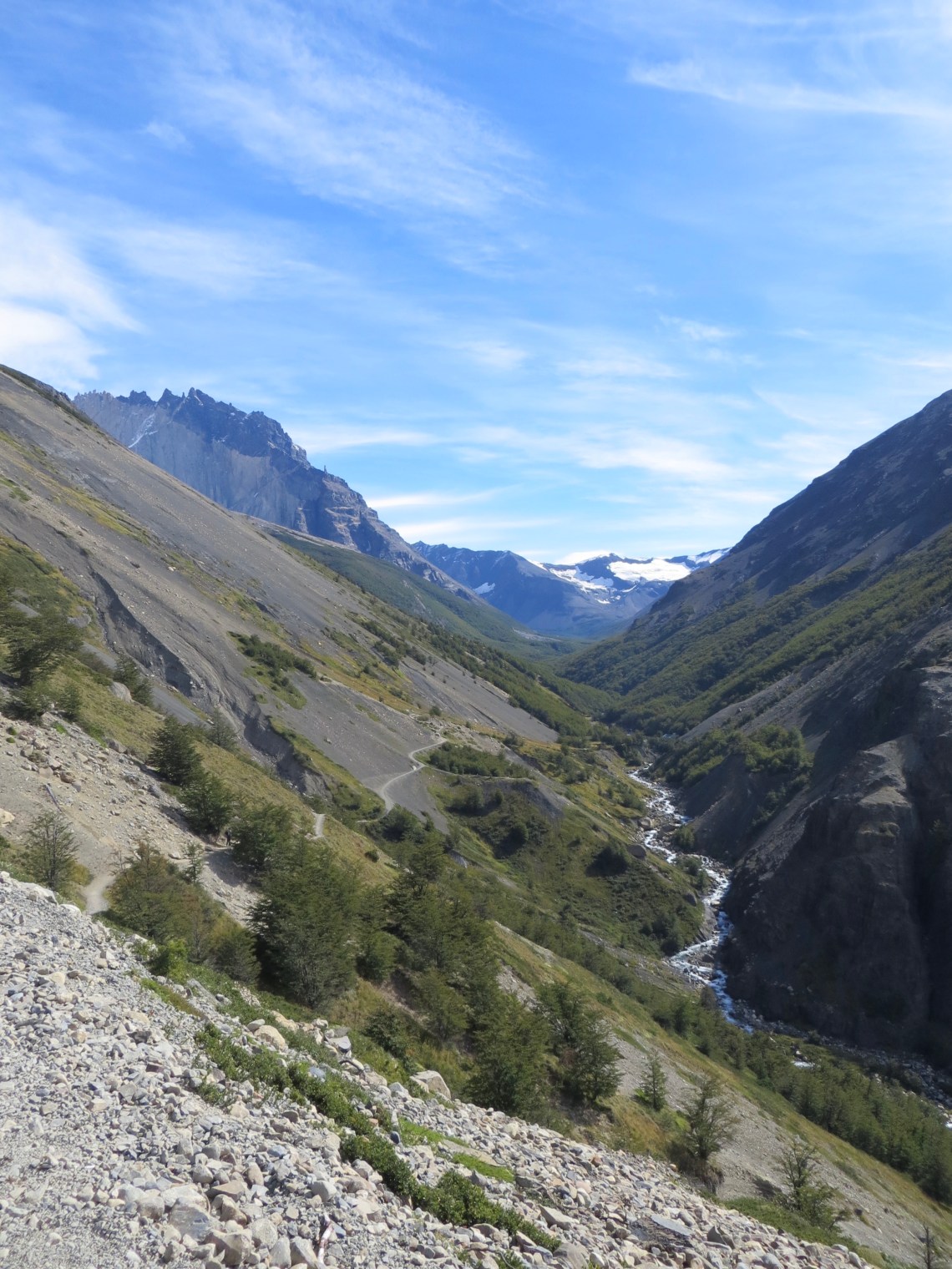 22142323353_41c83fd793_o