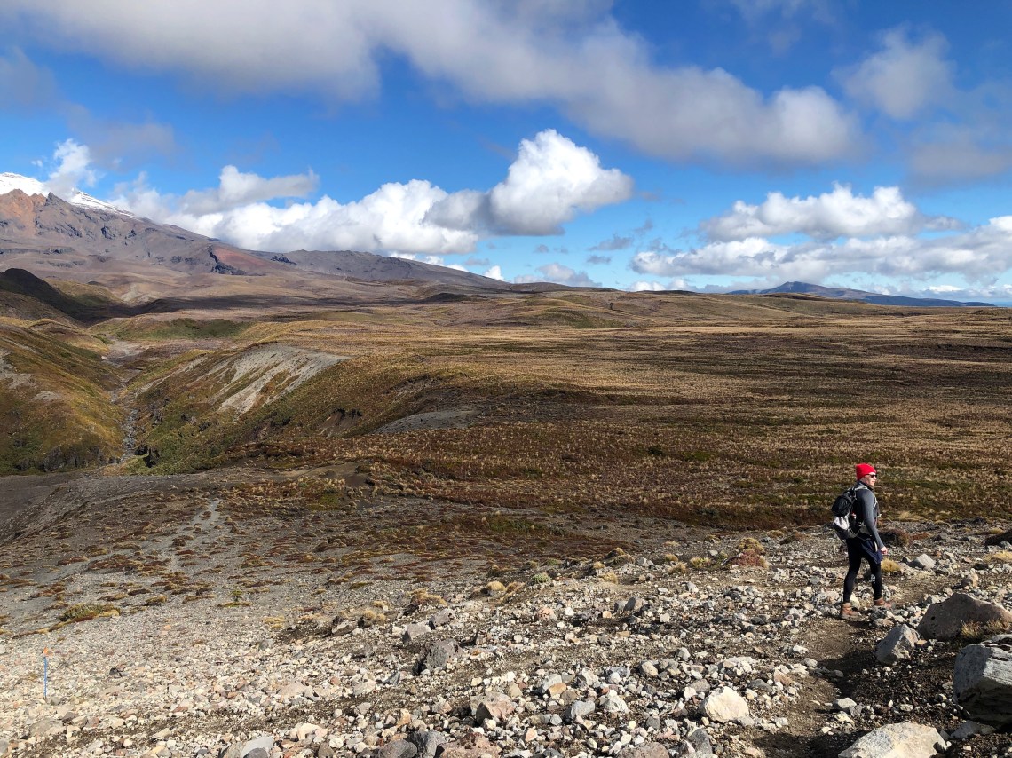 516C7082-6059-402C-A6FA-133023A1E9FB